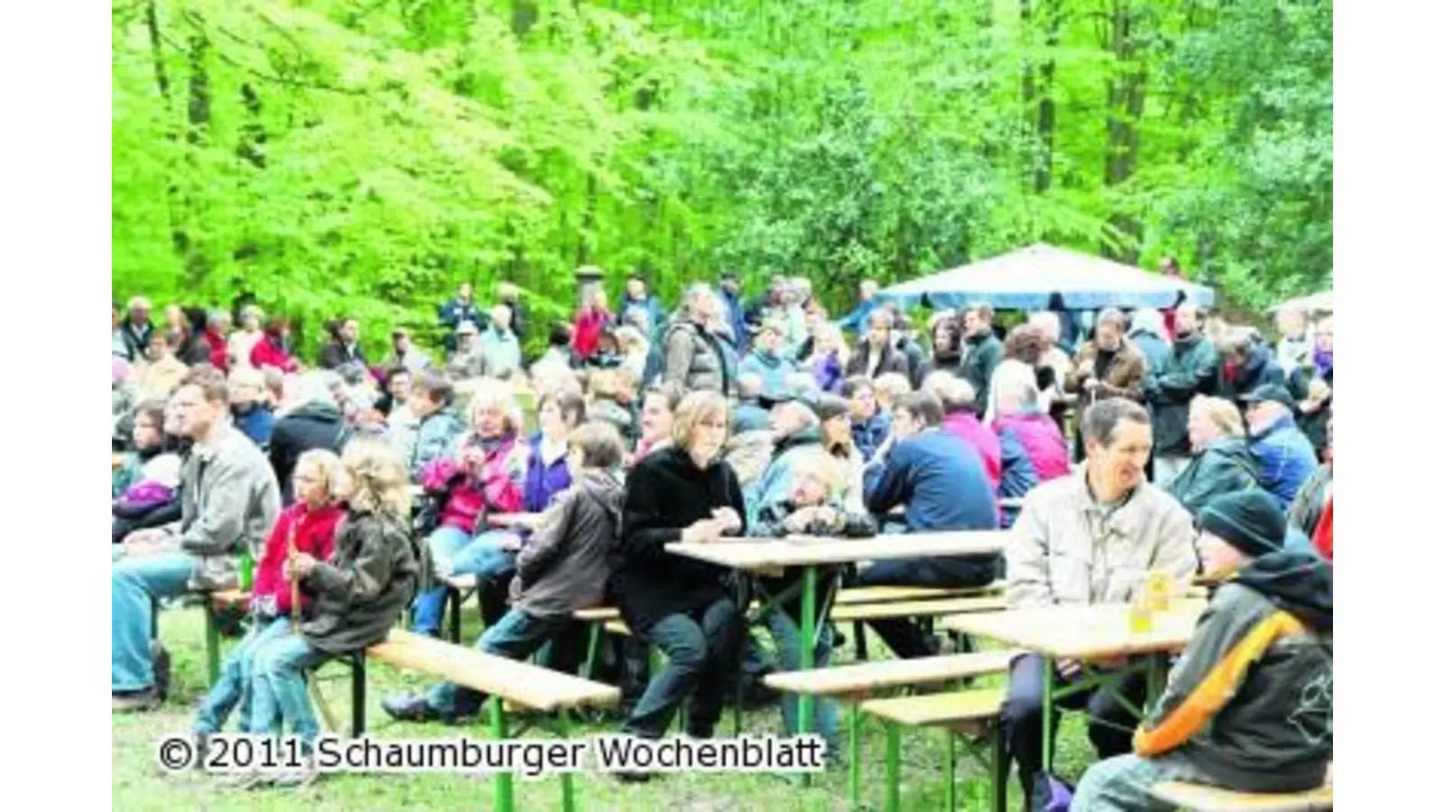 Am Sonntag geht es ins Grüne (Foto: bb)