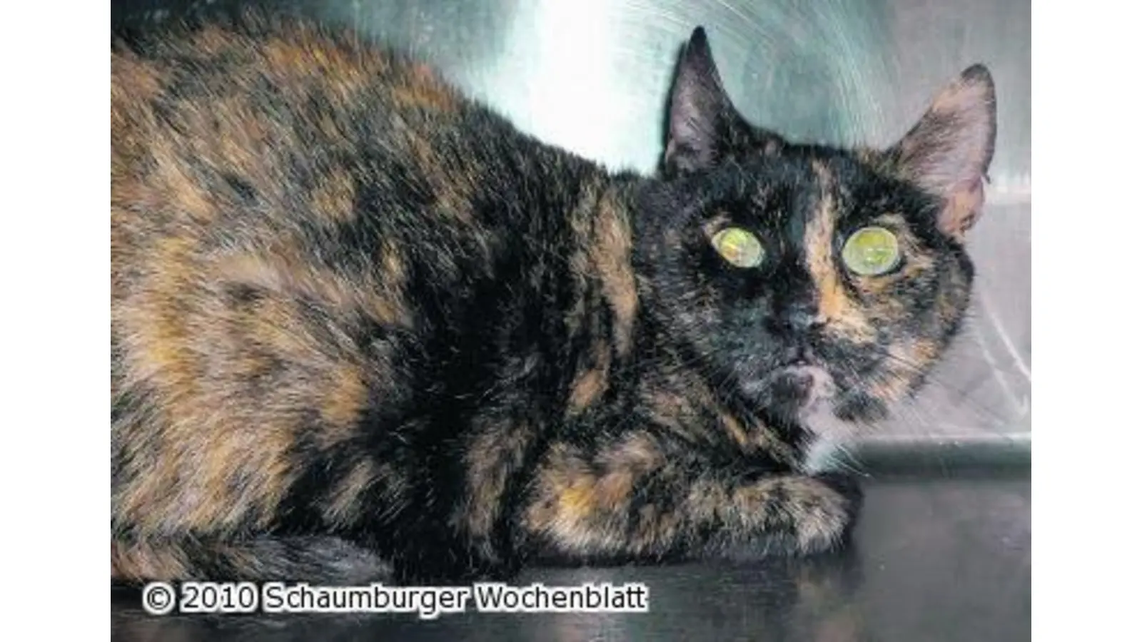 Informationen benötigt (Foto: wtz)