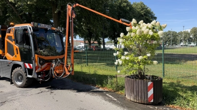 Die 90 Pflanzkübel der Stadt brauchen viel Wasser an den heißen Tagen des Sommers. Eine logistische Herausforderung für den Bauhof der Stadt Rinteln, der mit zwei Fahrzeugen bewässert. (Foto: ste)