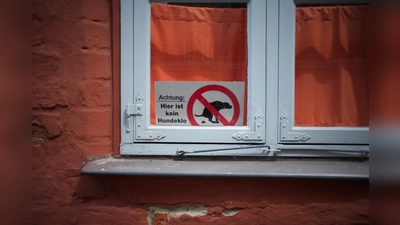 Ein dezenter Hinweis: „Hier ist kein Hundeklo”. (Foto: privat)