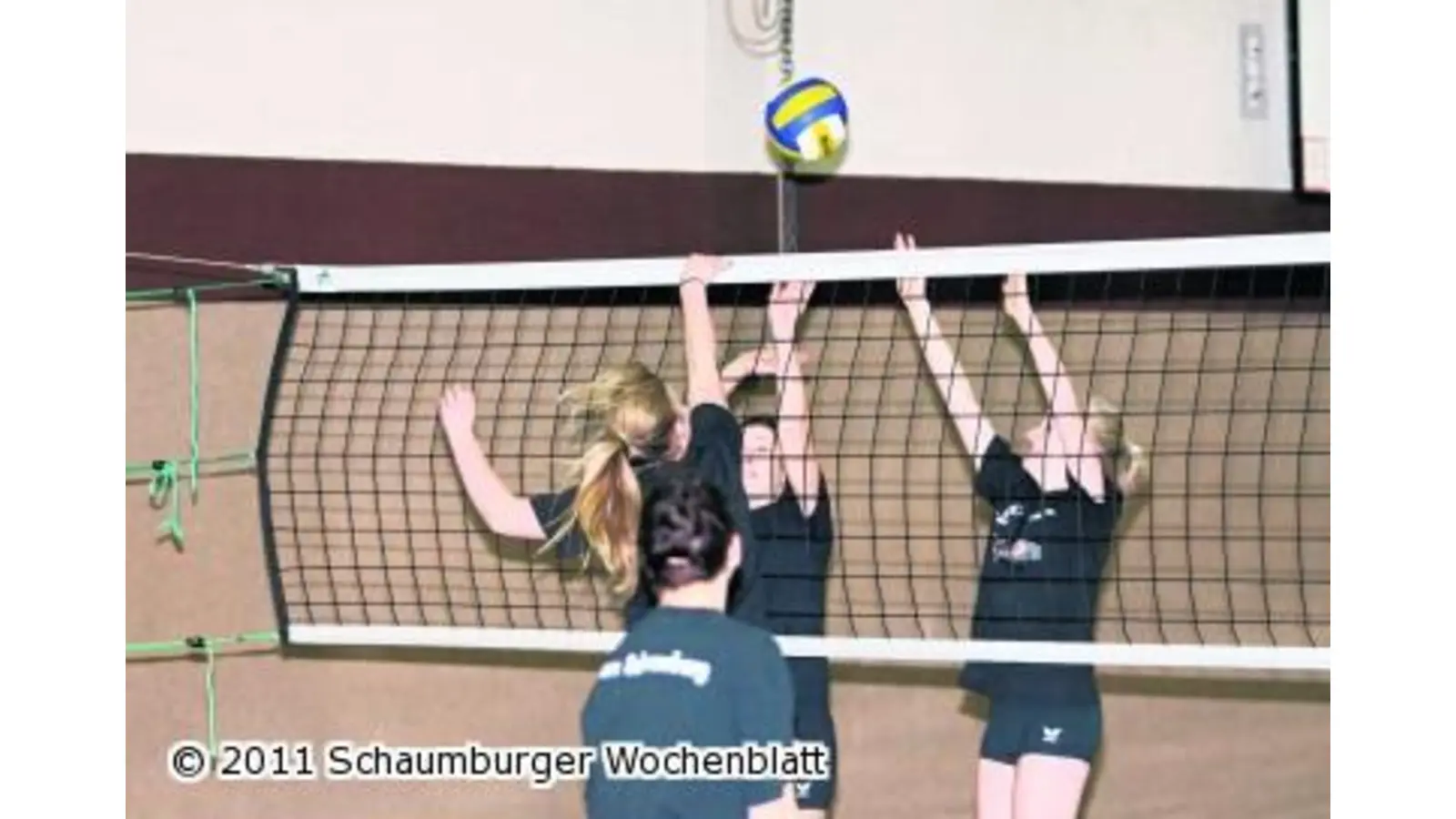 Volleyballsport im Landkreis gemeinsam weiter voranbringen (Foto: bb)