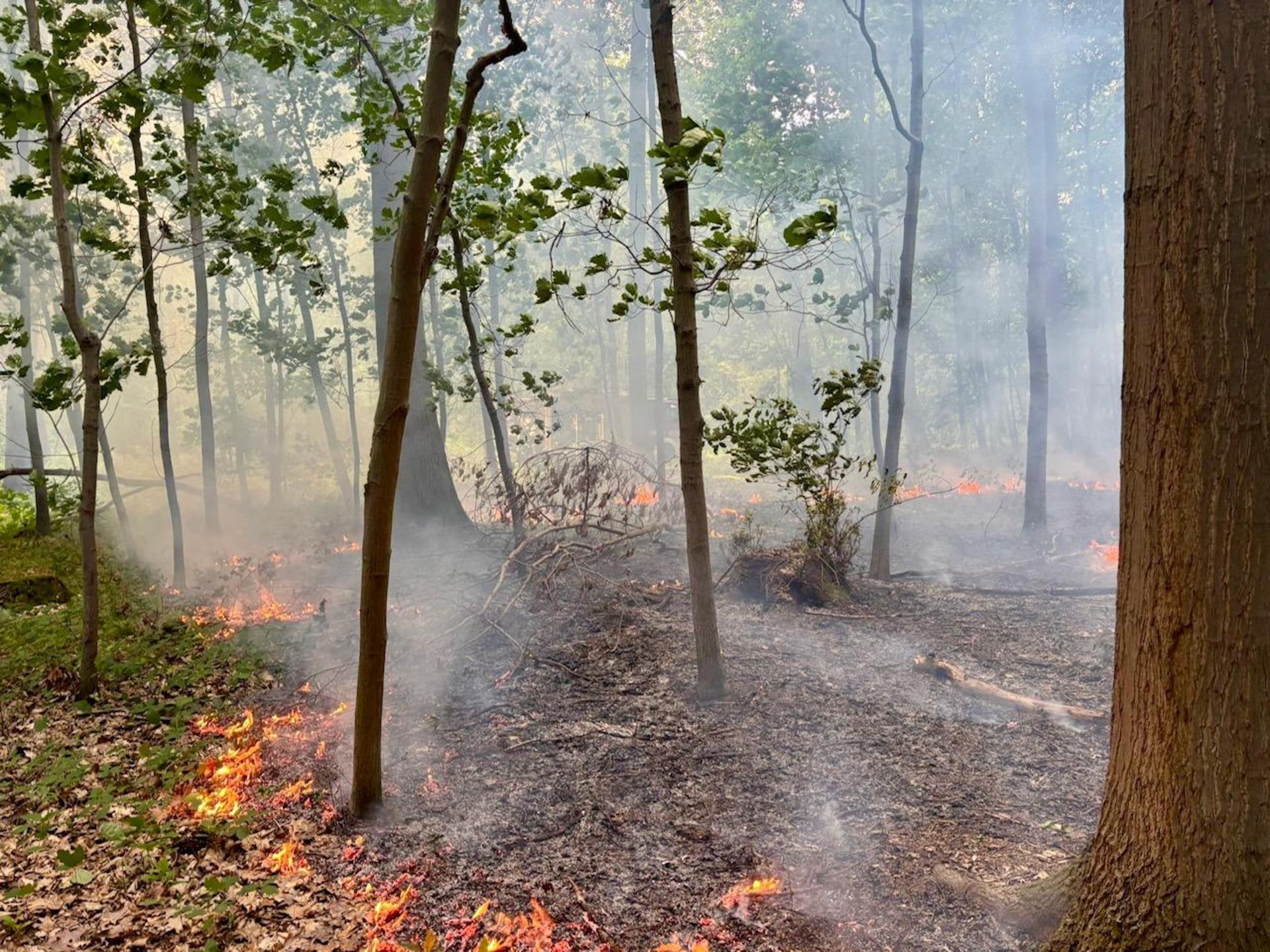 Rauchentwicklung: Brand im Hohen Holz. (Foto: Feuerwehr)