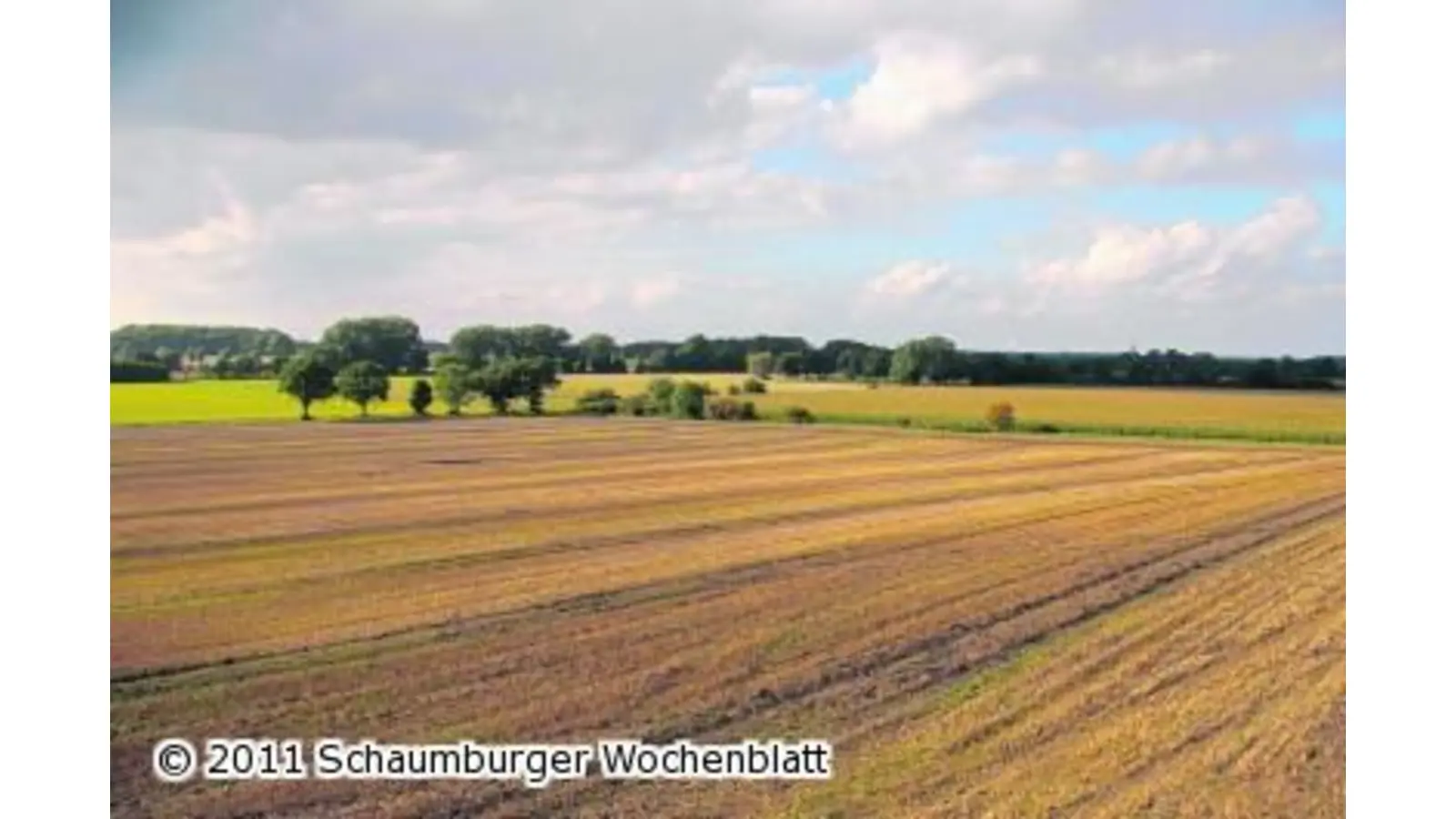 So schön ist die Feldmark (Foto: em)