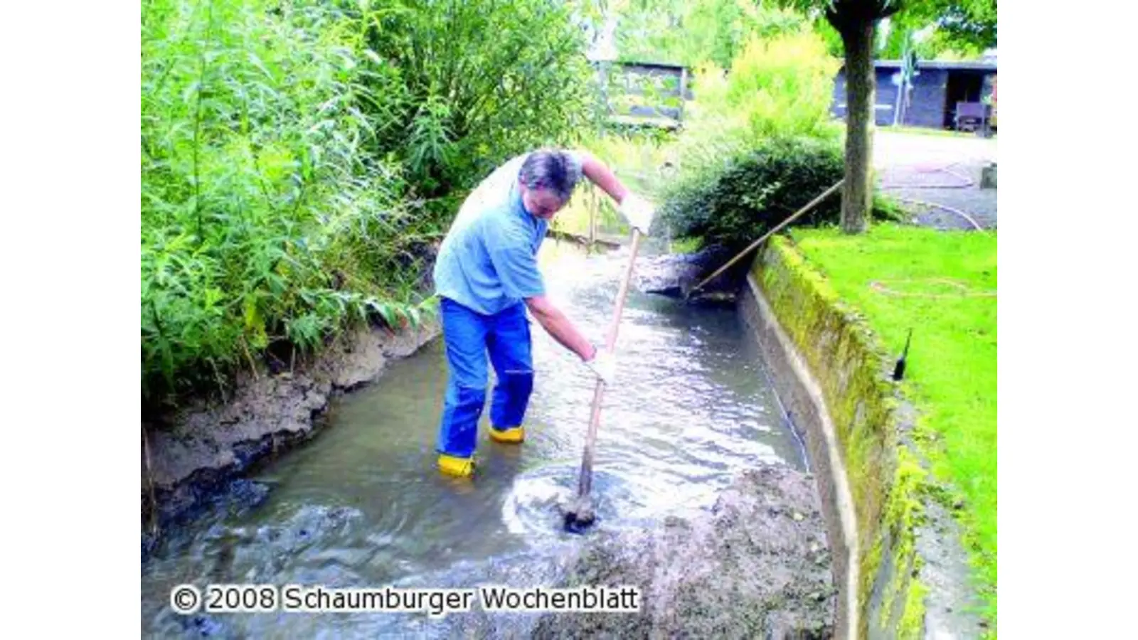 Fischsterben zwingt zum Handeln (Foto: tt)
