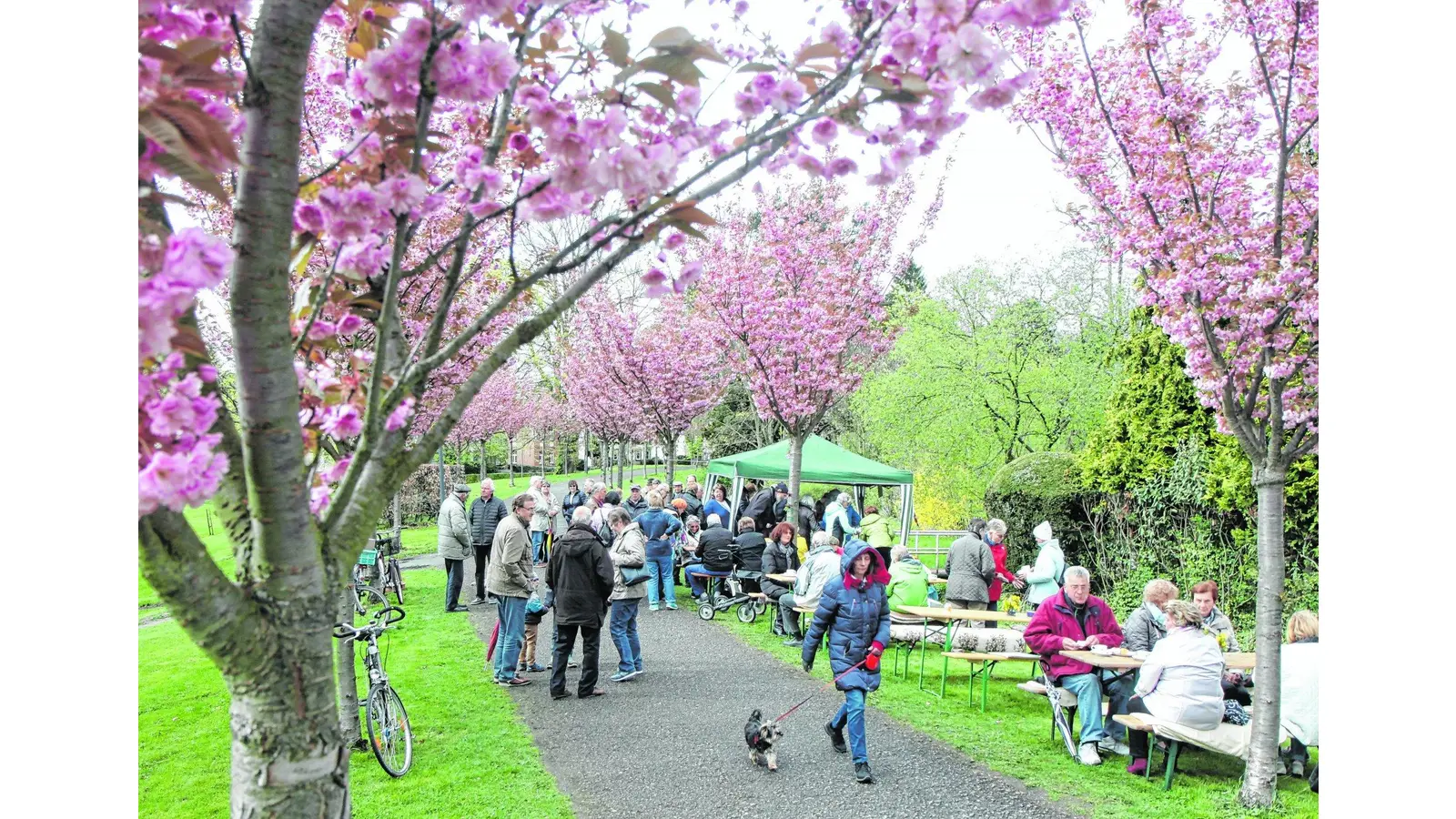 Frische Luft und farbenfrohe Blütenpracht (Foto: bb)