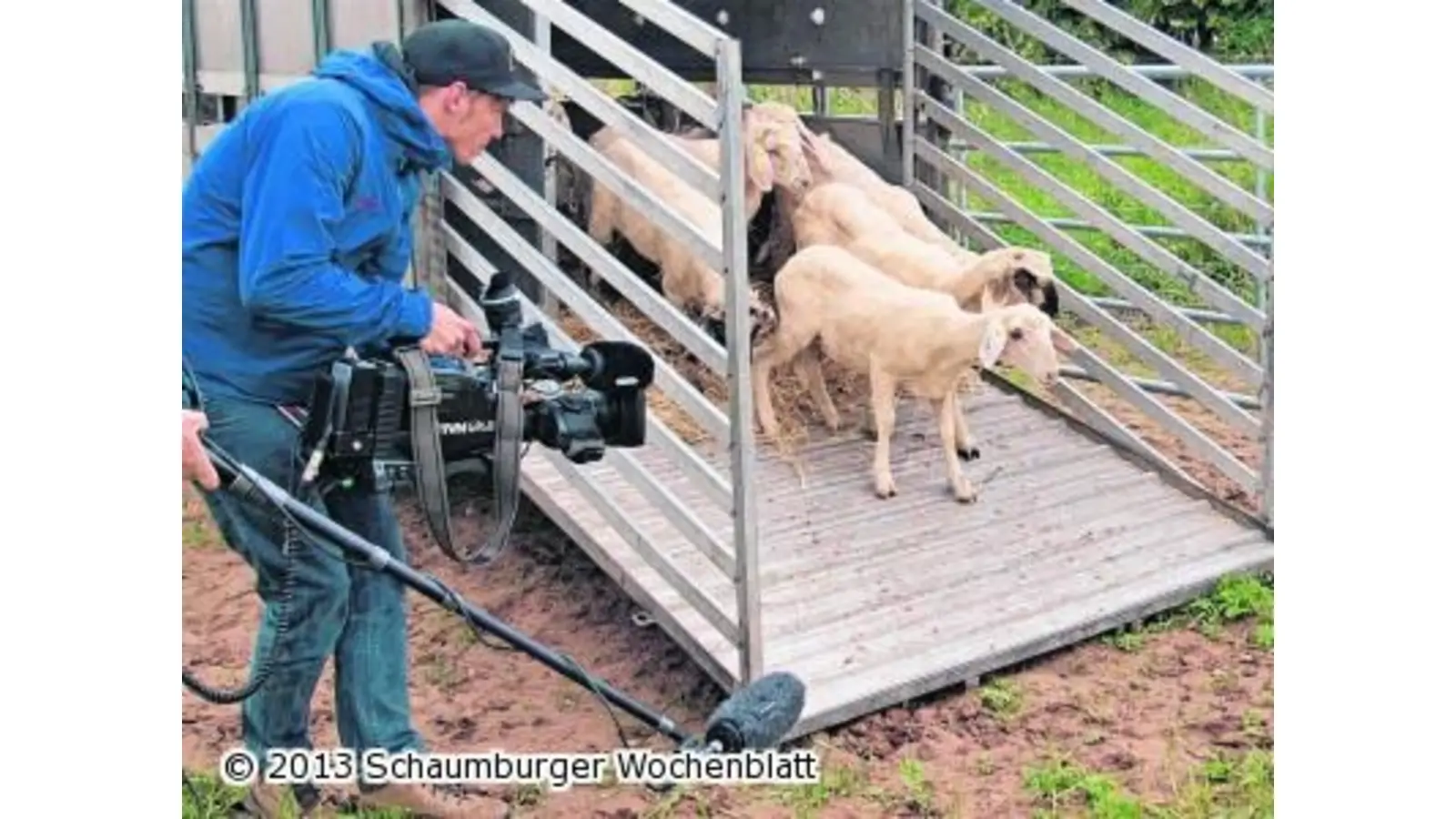 Bewegte Bilder in Auenlandschaft Oberweser (Foto: red)