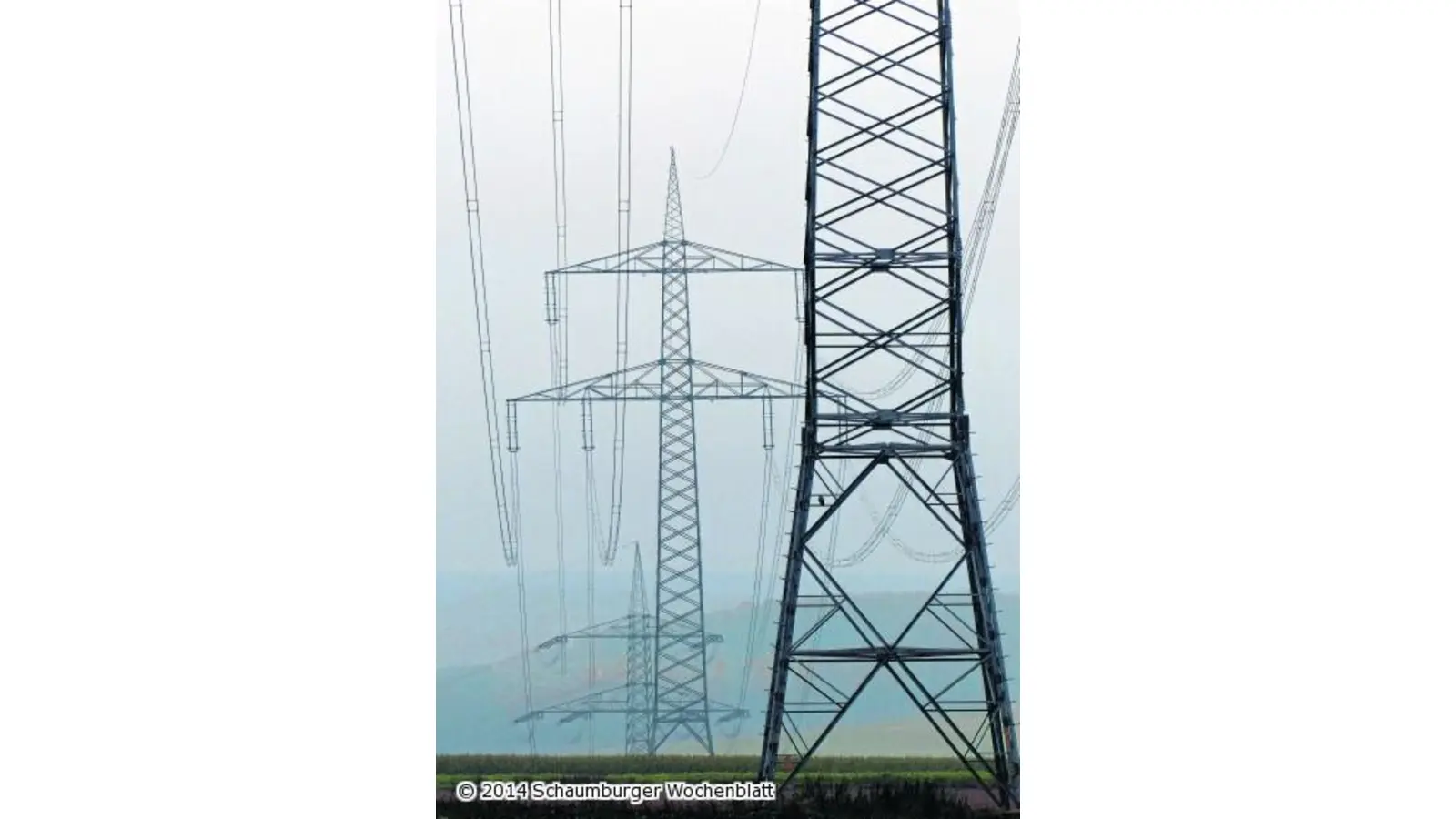 Protest gegen die Südlink-Trasse (Foto: al)