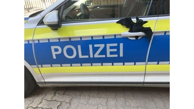 Symbolbild. (Foto: privat)