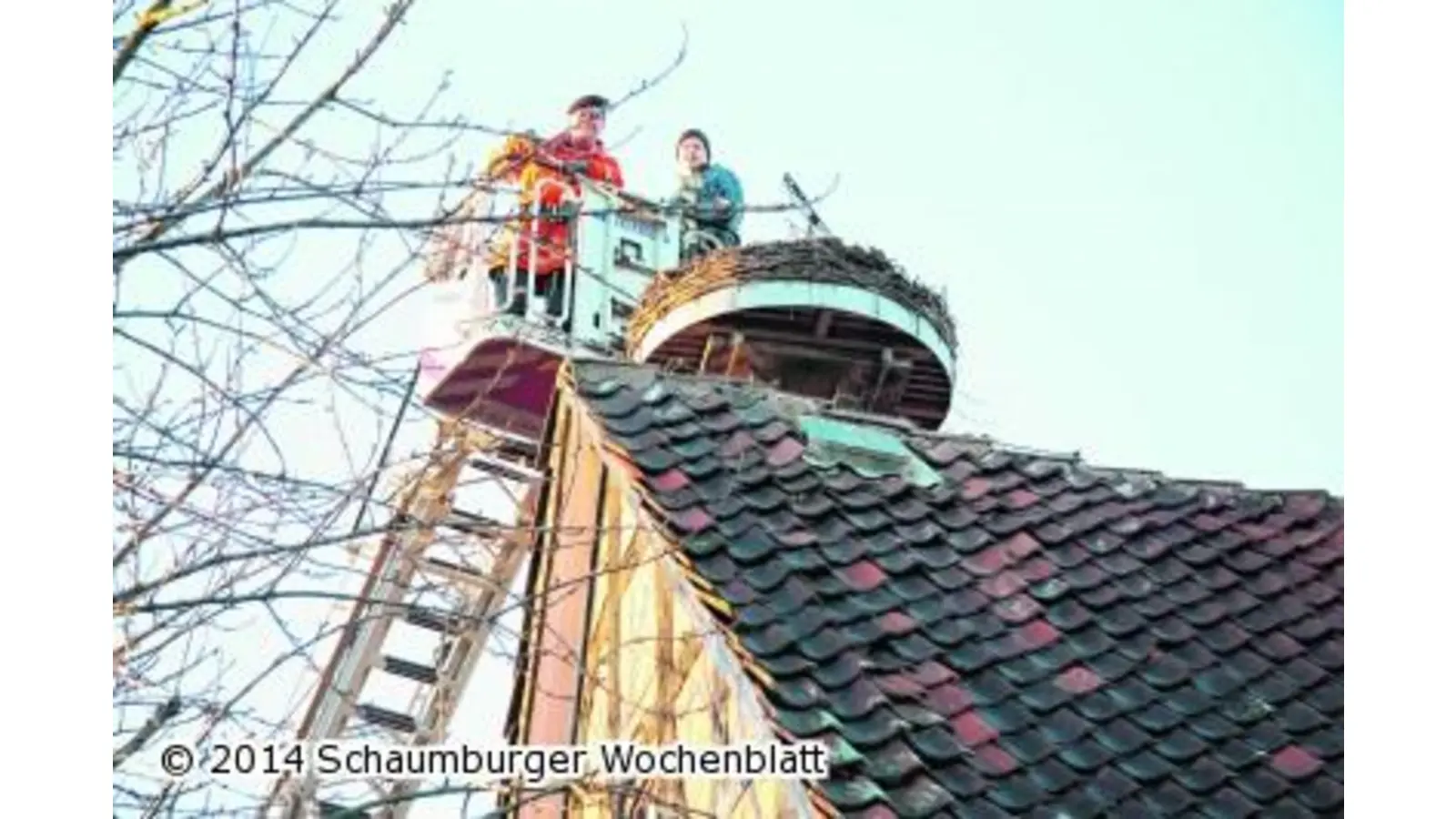 Storchennest ist wieder bewohnbar (Foto: gi)