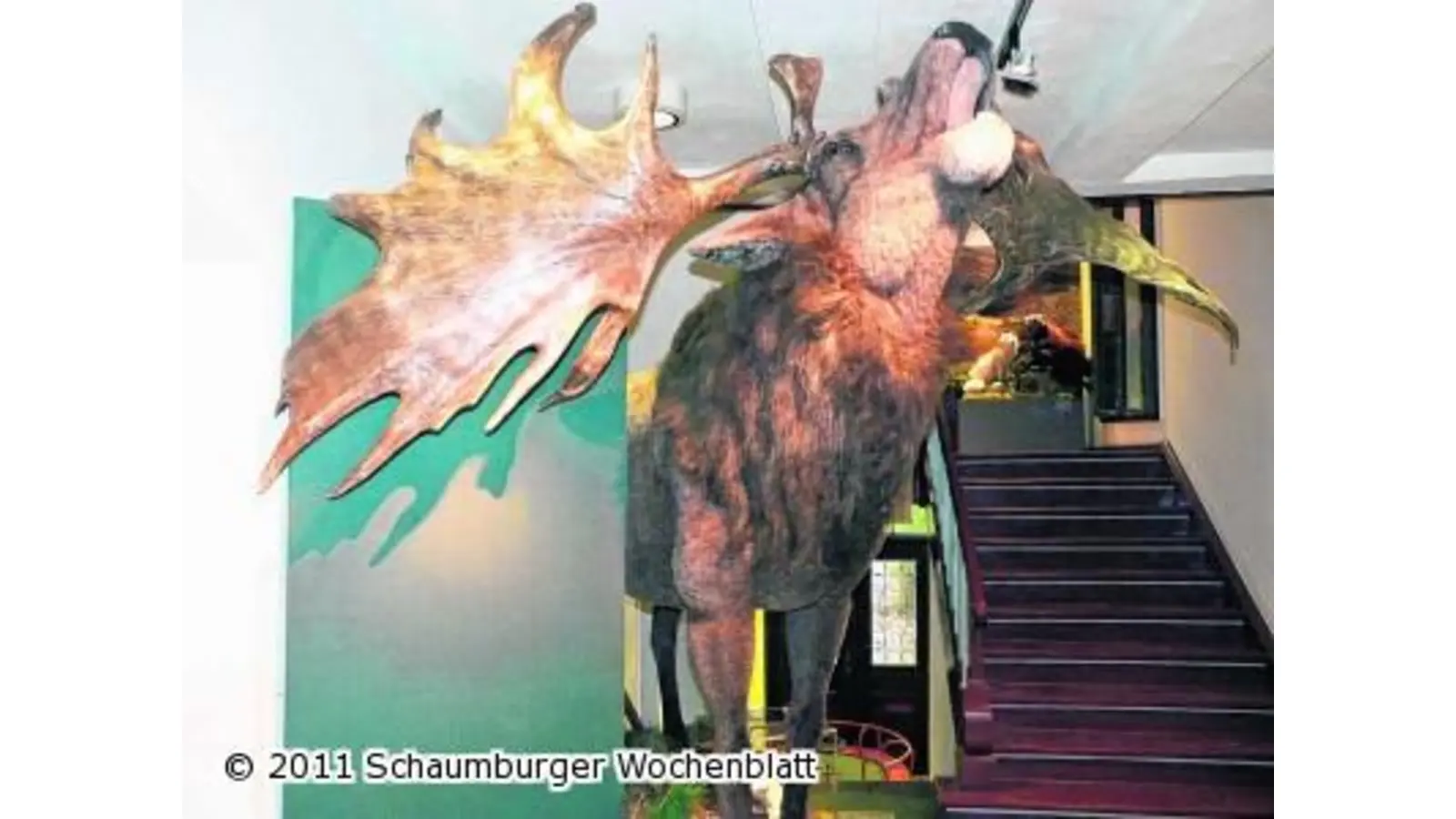 Noch bis Mai herrscht im Museum Eulenburg Eiszeit (Foto: km)
