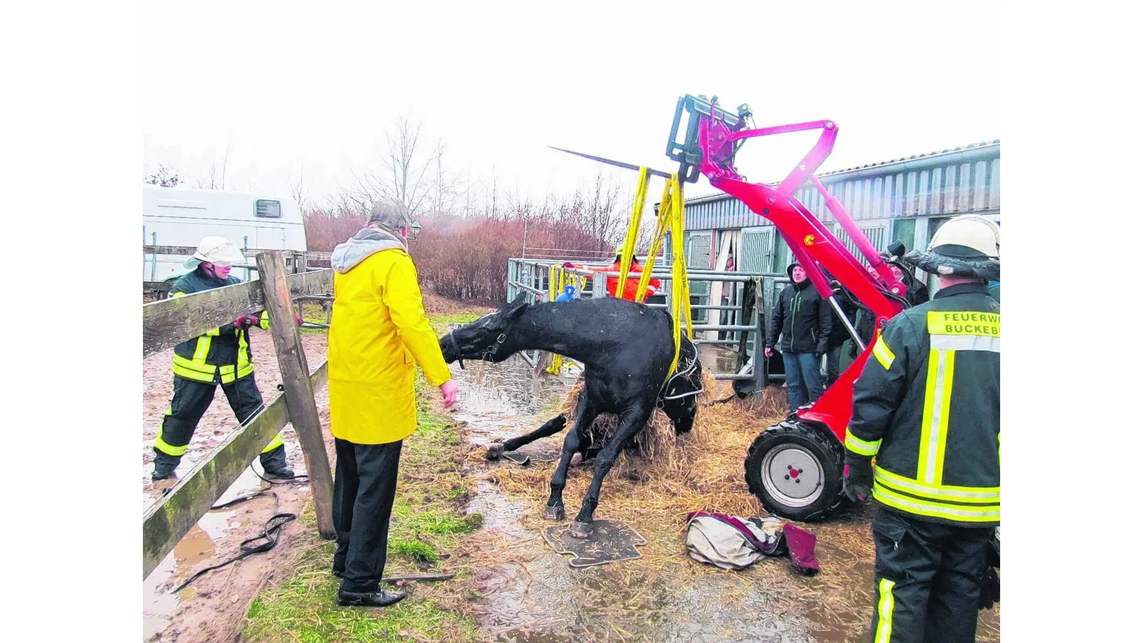 Festsitzendem Pferd auf die Beine geholfen (Foto: gr)