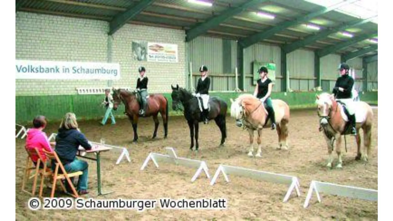 Auf dem Rücken der Pferde (Foto: red)