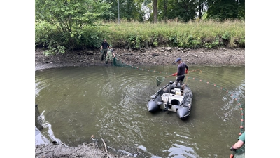 Eine spezielle Fischfangmethode zum Einsatz: „das Elektrofischen”. Diese unterliegt strengen Vorschriften.  (Foto: Fischereiverein Rodenberg)