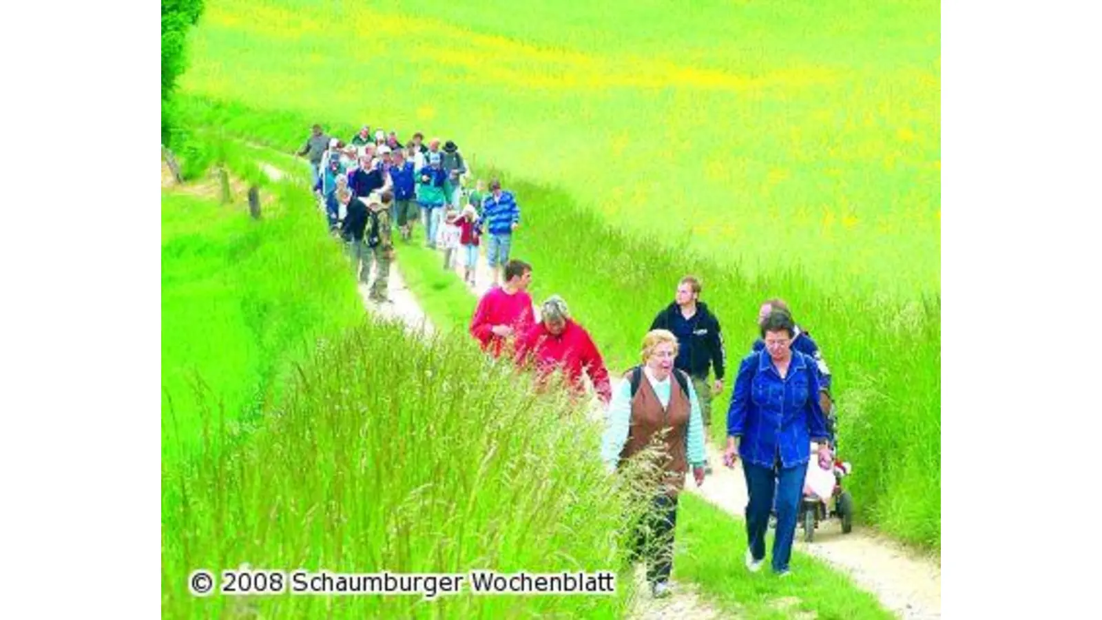 Sportler wandern am Süntel (Foto: al)