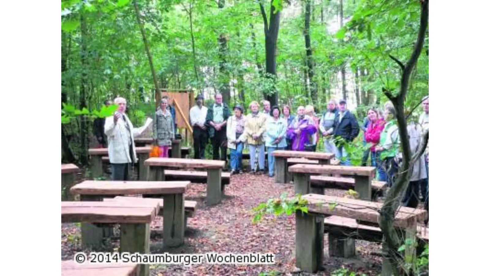 Fernblicke auf Stadt und Deister (Foto: red)