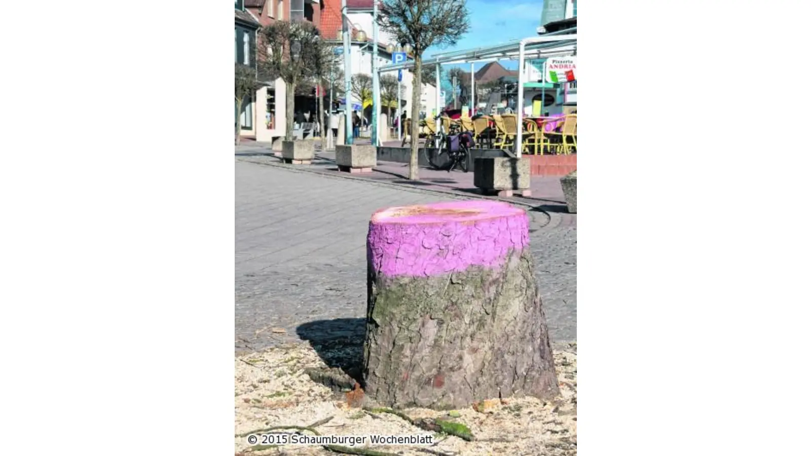 Zurück bleiben pinke Stumpen (Foto: jl)