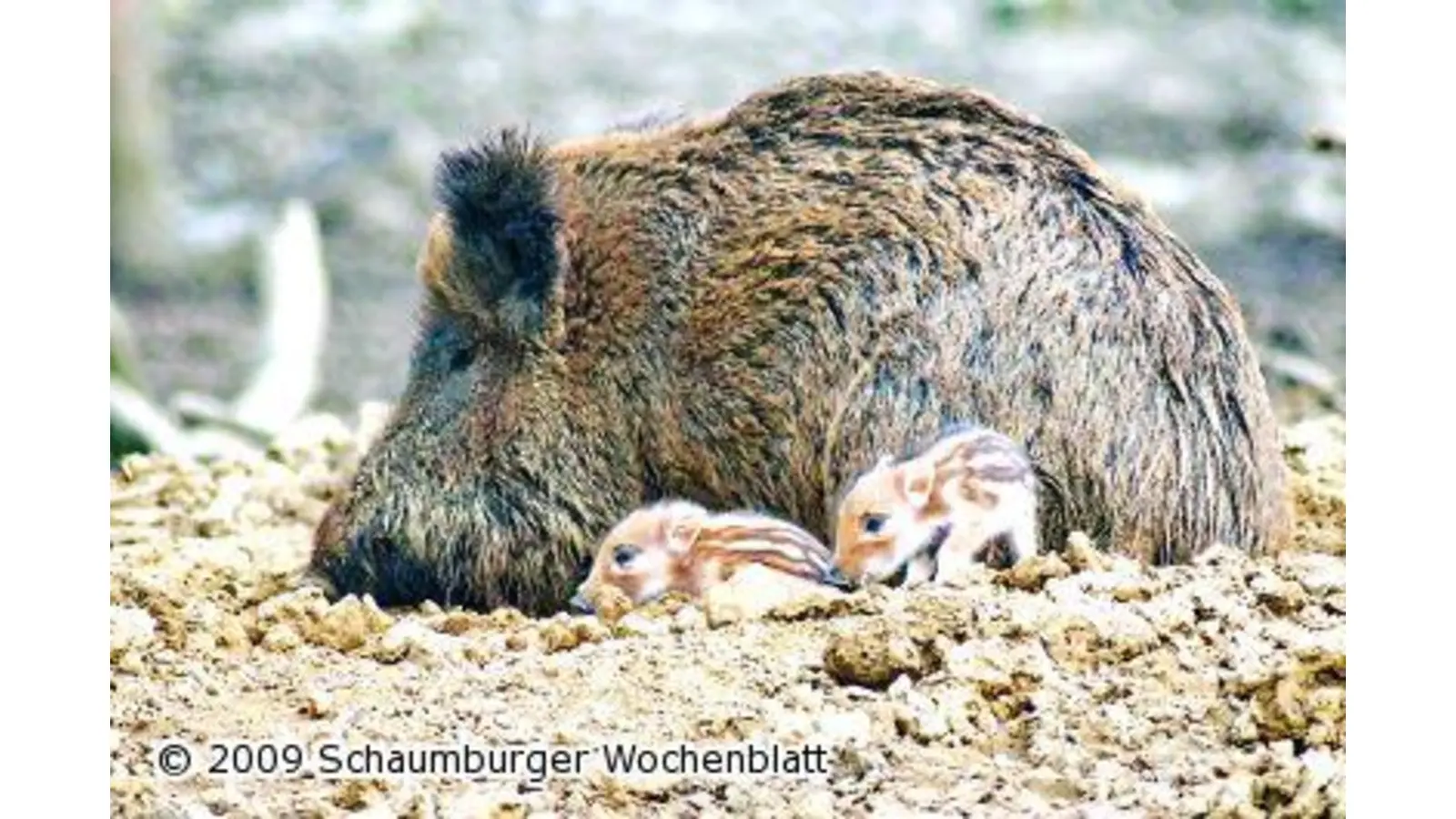 Freizeit für Kinder (Foto: ih)