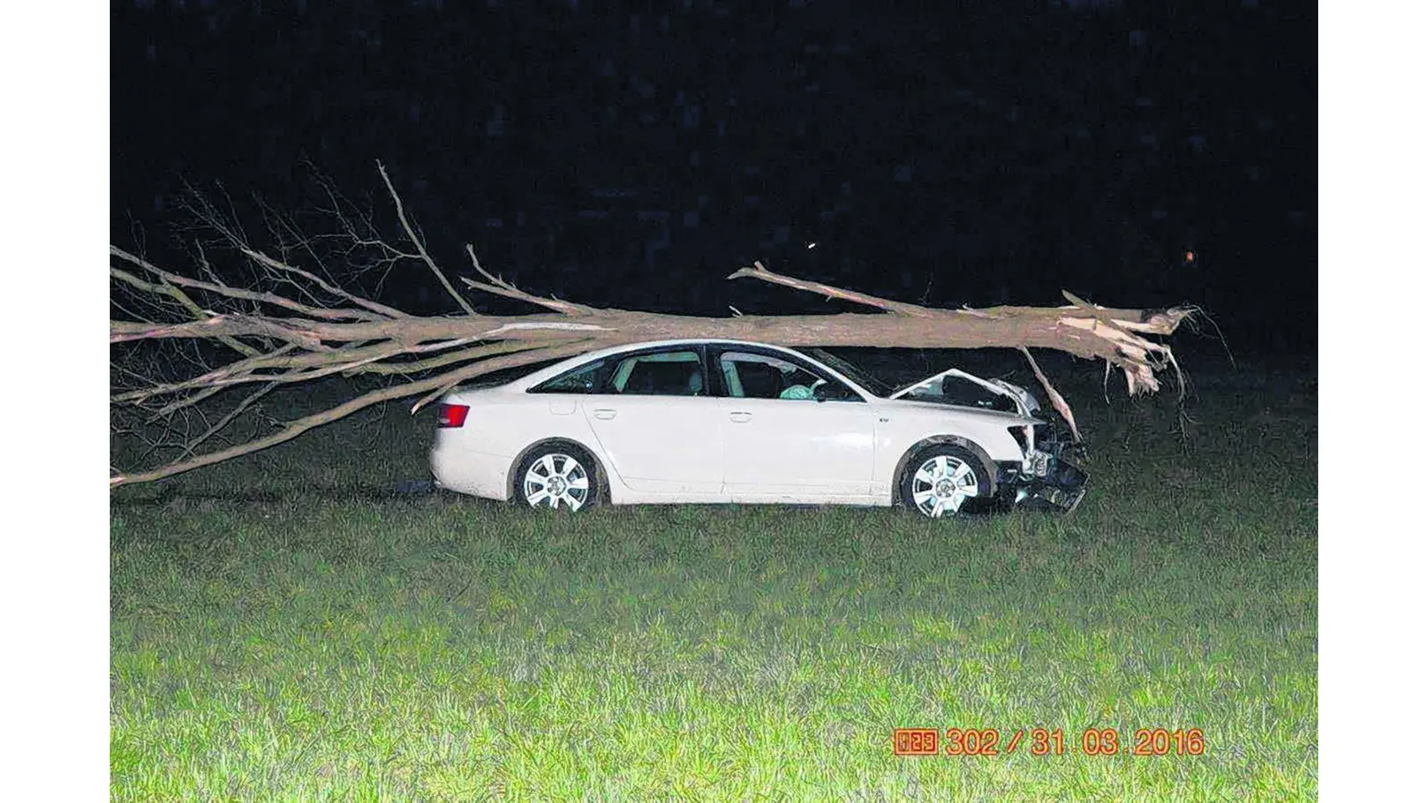 Riskante Flucht endet im Feld (Foto: gr)