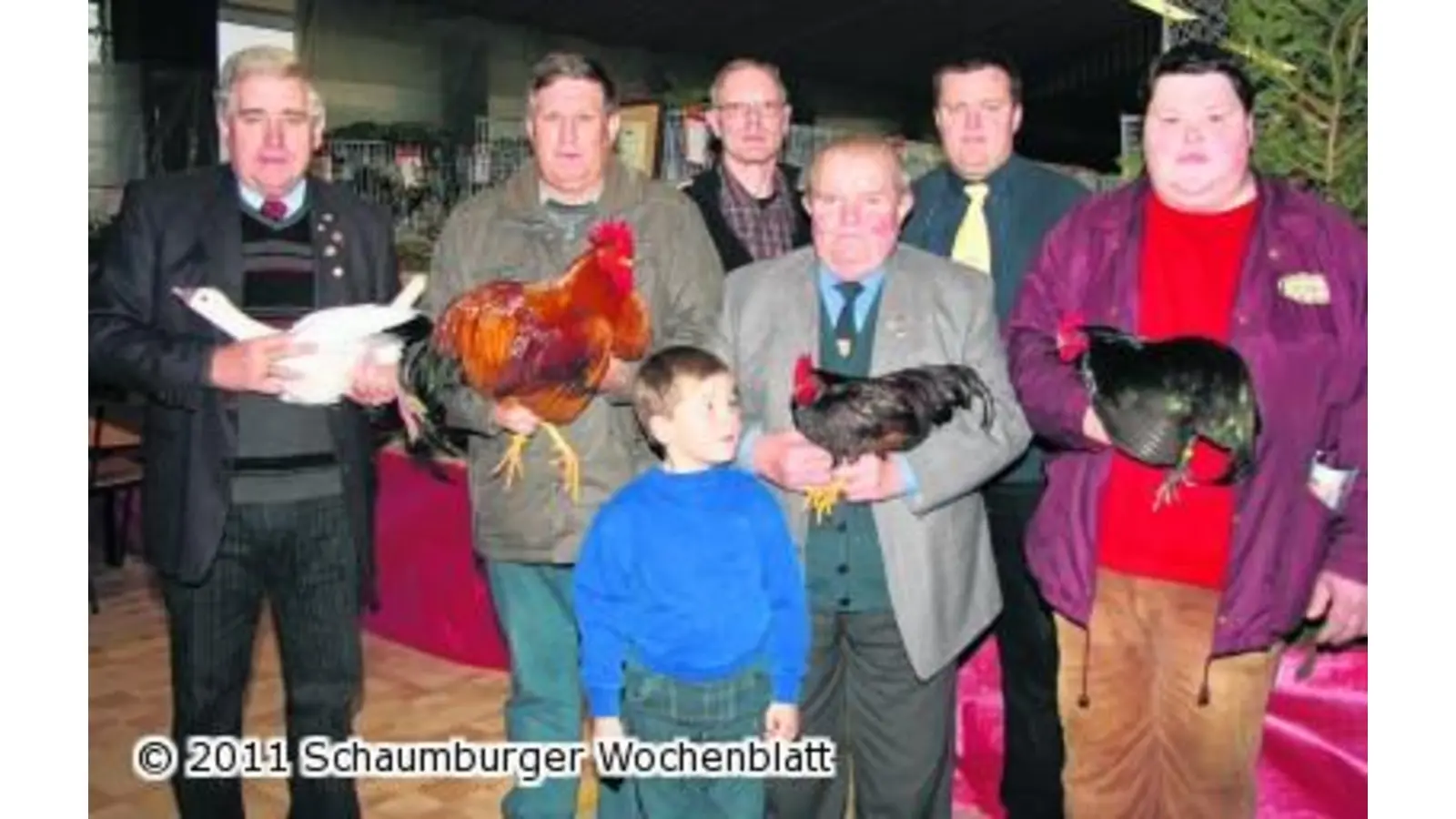 Die passionierten Züchter präsentieren ihr Federvieh (Foto: wtz)