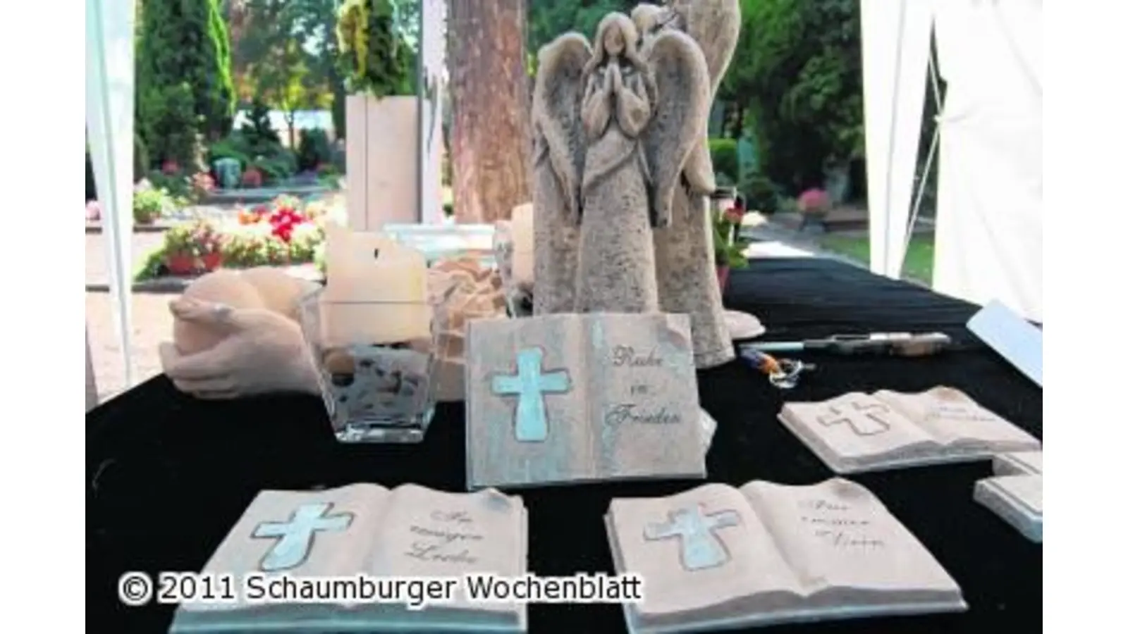 Blühende Wiesen statt Kurzrasen (Foto: ste)