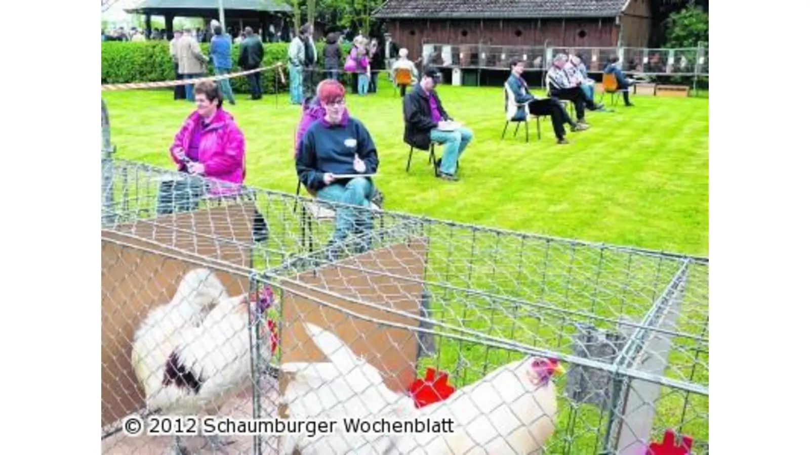 Nummer 60 fällt plötzlich tot um (Foto: red)