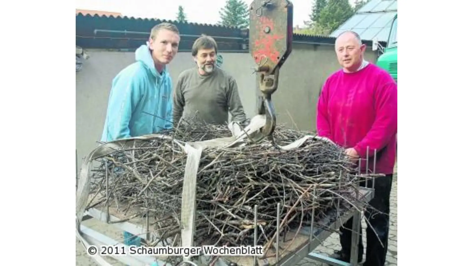 Schornstein ist durch Storchennest blockiert (Foto: wtz)