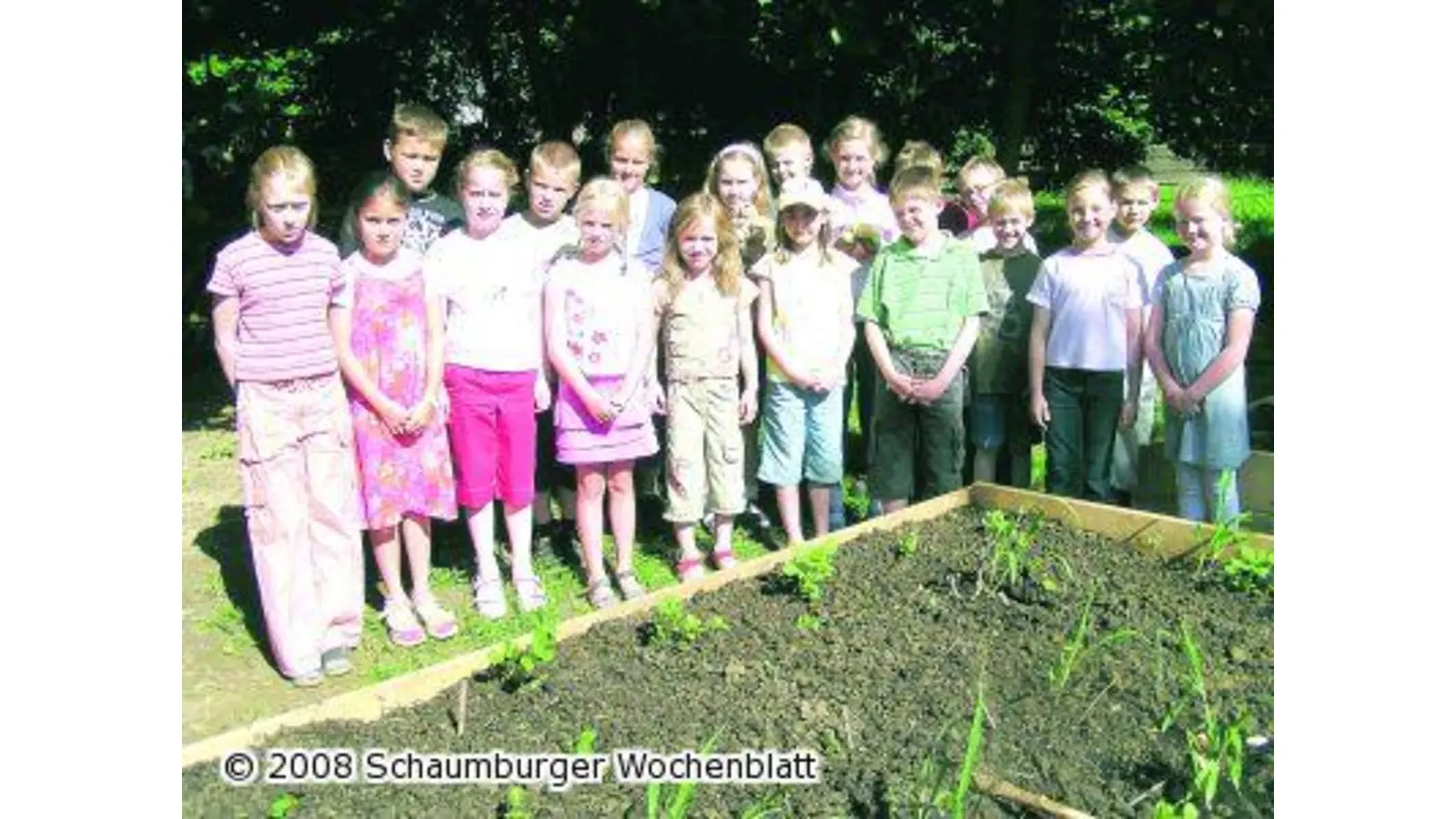 Fleißige Gärtner hoffen auf eine reiche Ernte (Foto: pd)