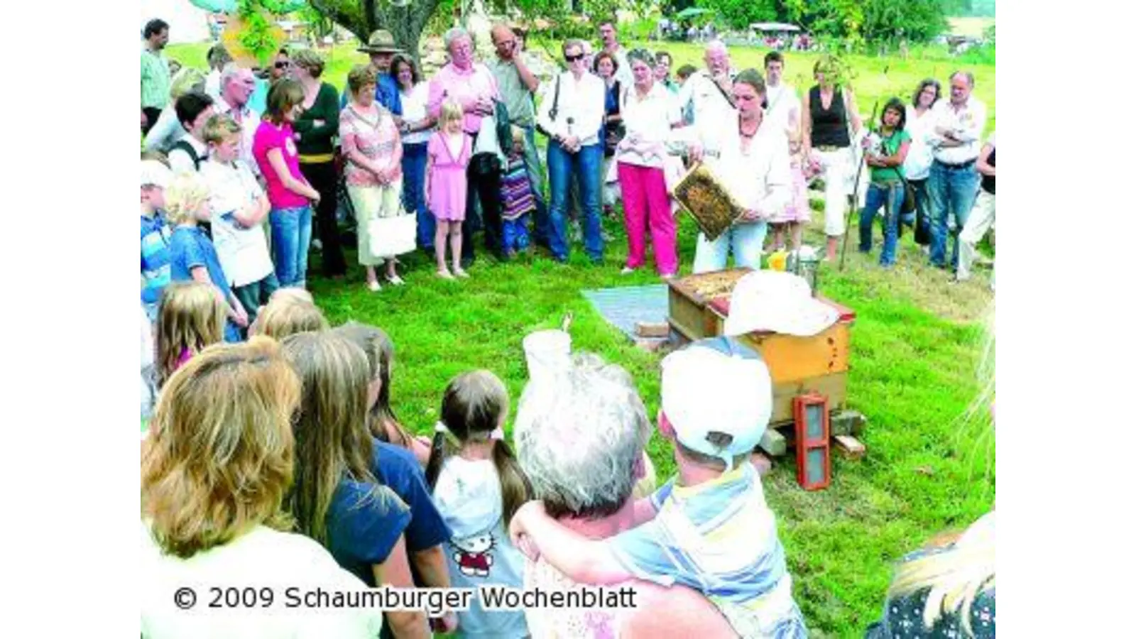 Majestät lässt sich nicht blicken (Foto: al)