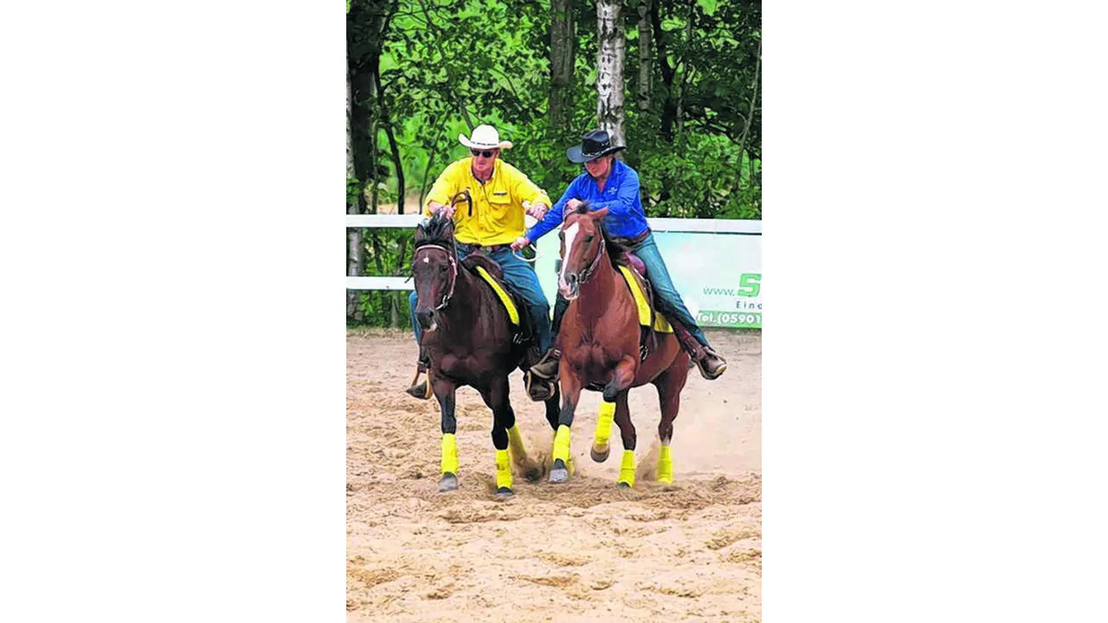 Rodeo wie bei richtigen Cowboys (Foto: lo)