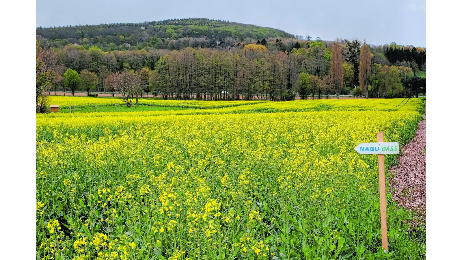 Die Stadt plant langfristig Maßnahmen für insgesamt mehr als 13 Millionen Euro (Foto: jl)