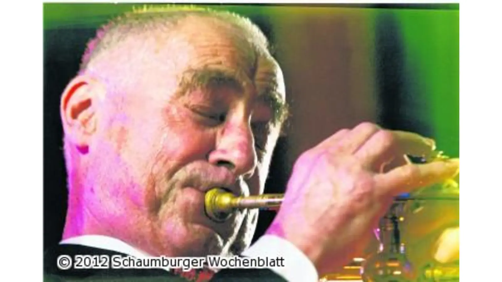 Bis morgen regieren Swing und Blues im Kurpark (Foto: red)