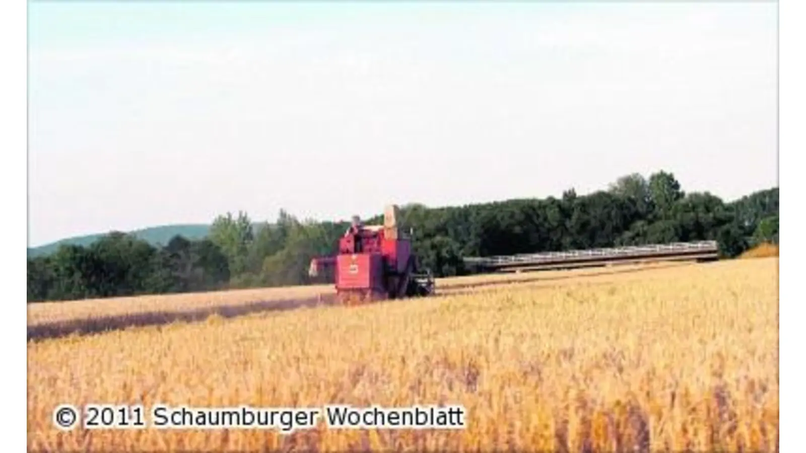 Für die Ernte sieht es düster aus (Foto: km)