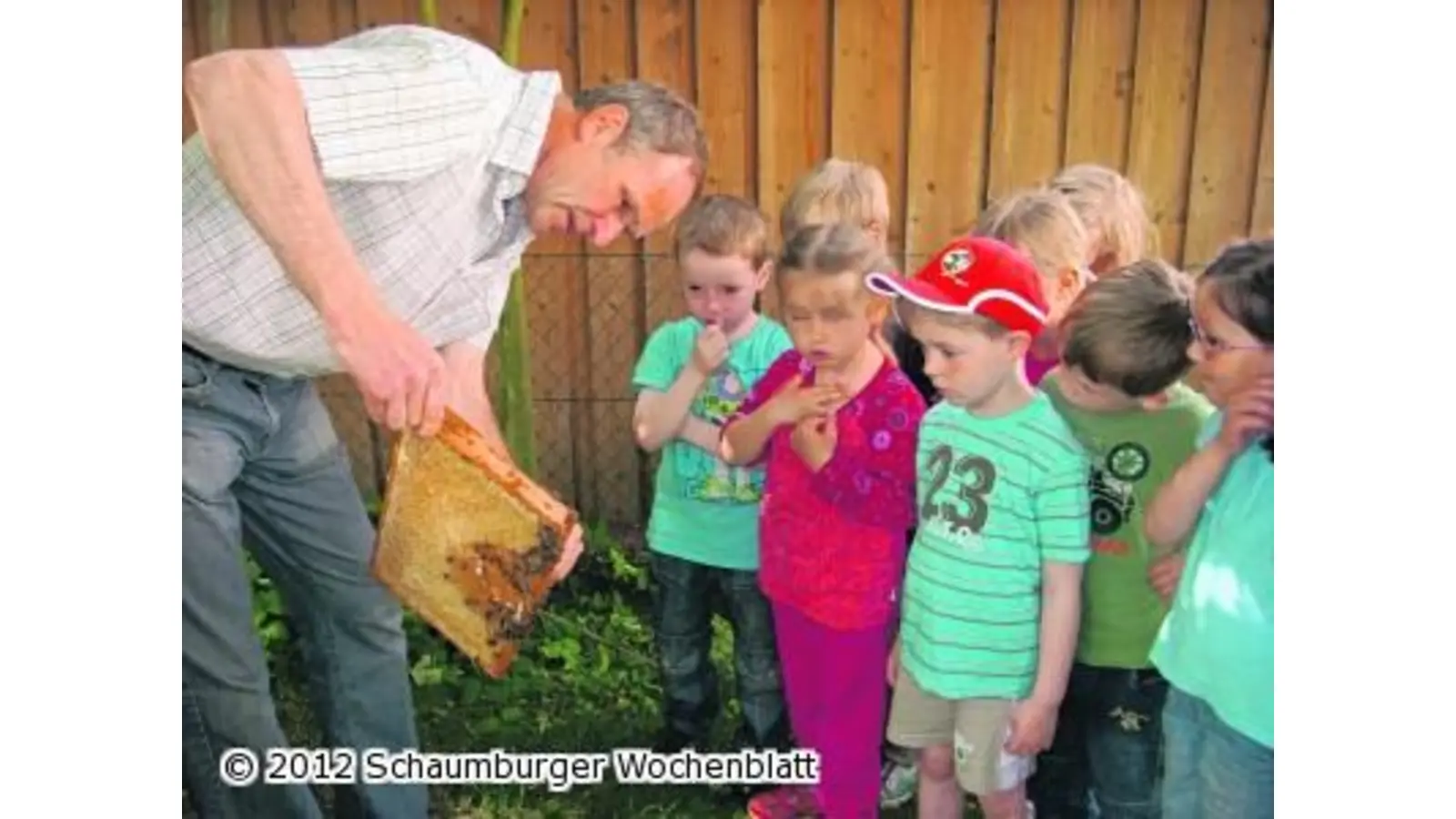 Rund um die Biene wird es fleißig (Foto: red)