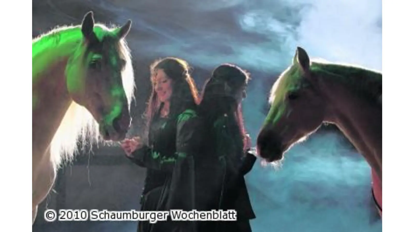 Pferden einfach treu bleiben (Foto: em)