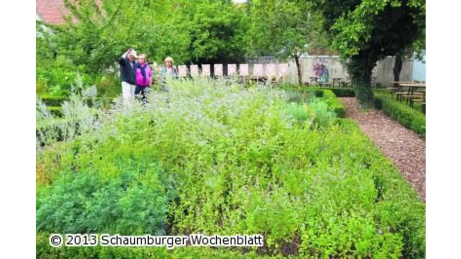 Historisches im Klostergarten entdecken (Foto: wa)
