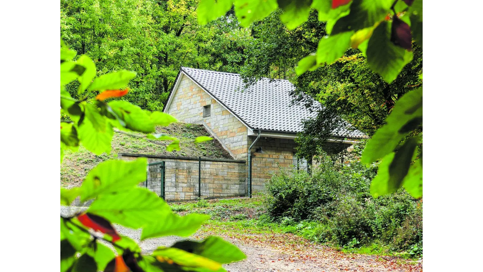 Noch halten sich die Wassersorgen in Grenzen (Foto: al)