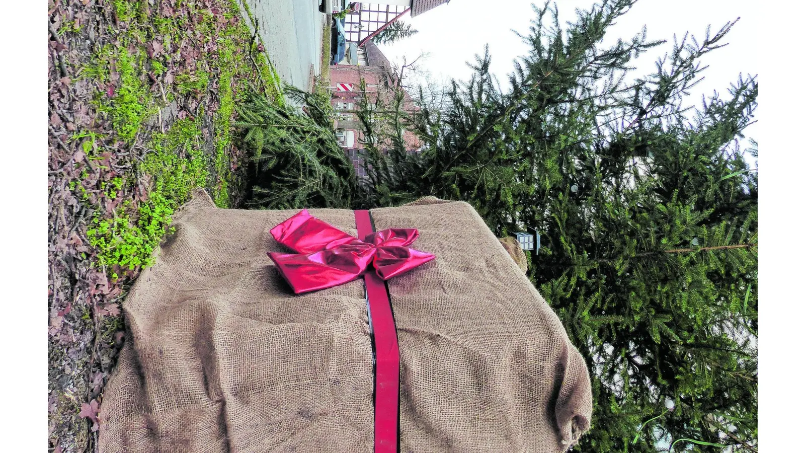 Ein Paket steht am Baum (Foto: al)