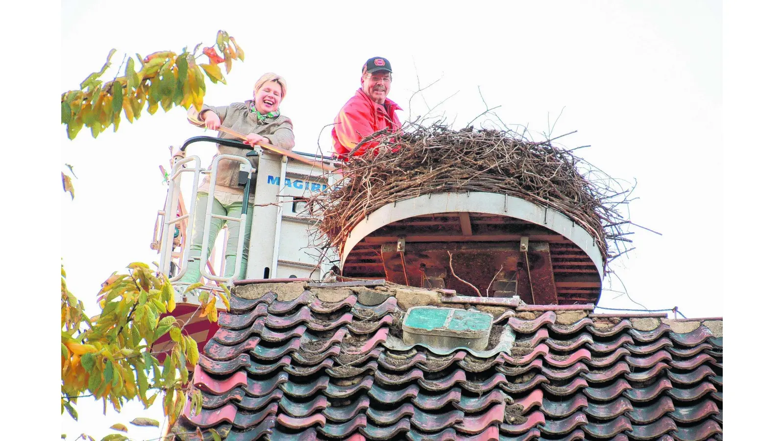 Storchennest ist wieder in Form (Foto: gi)