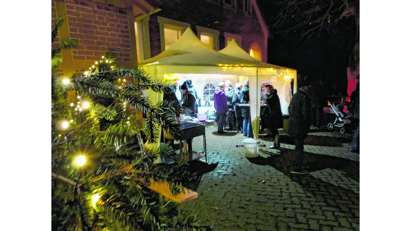 Alte Linde in rotem Licht (Foto: al)