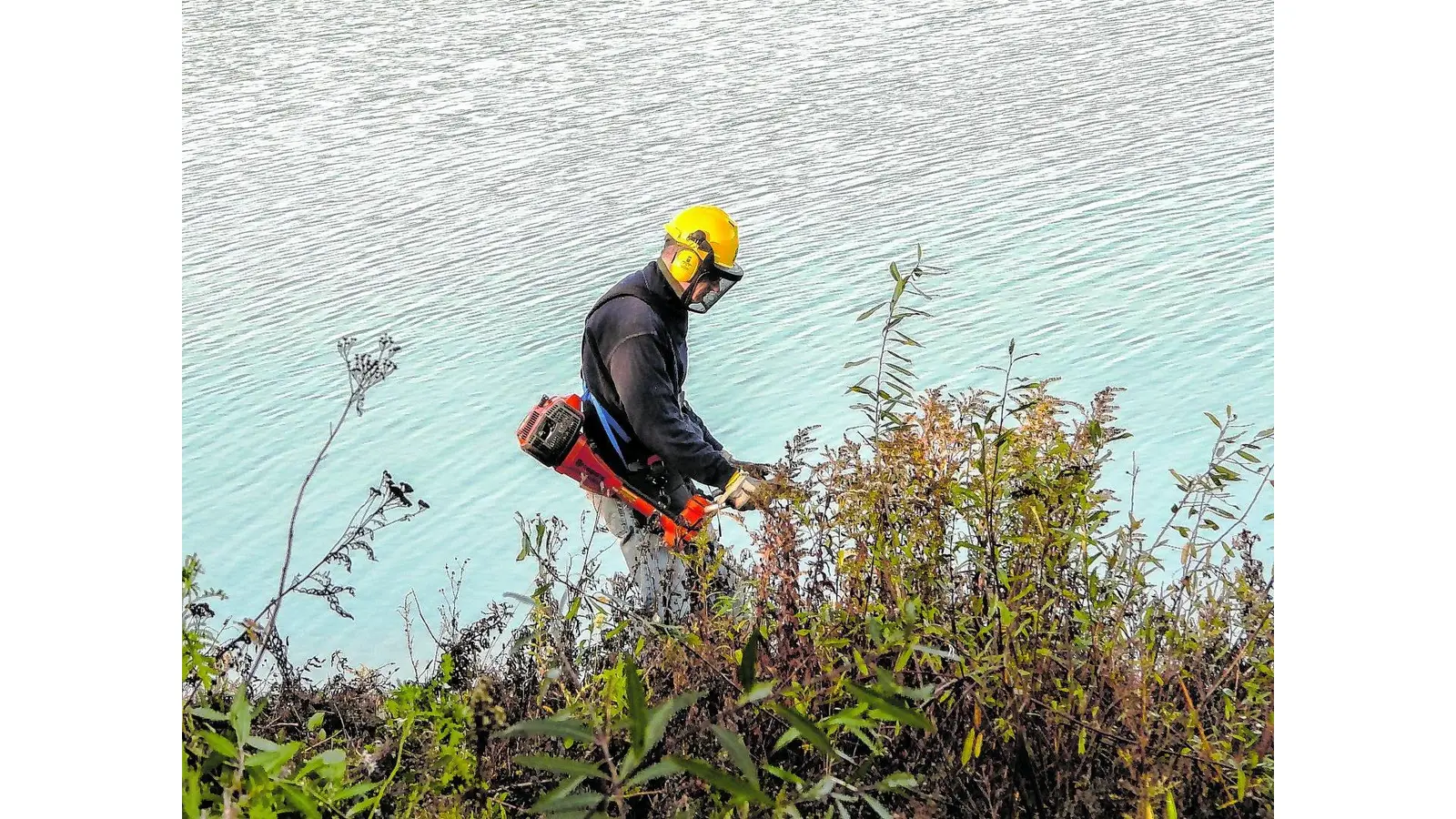 Freie Sicht für Vögel und Besucher (Foto: red)