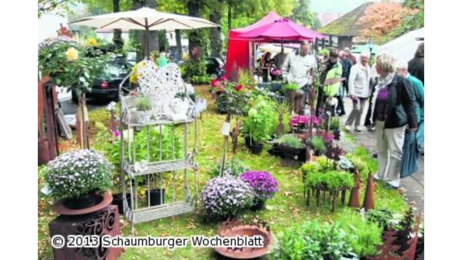 Bei milden Herbsttemperaturen über den Bauernmarkt bummeln (Foto: bb)