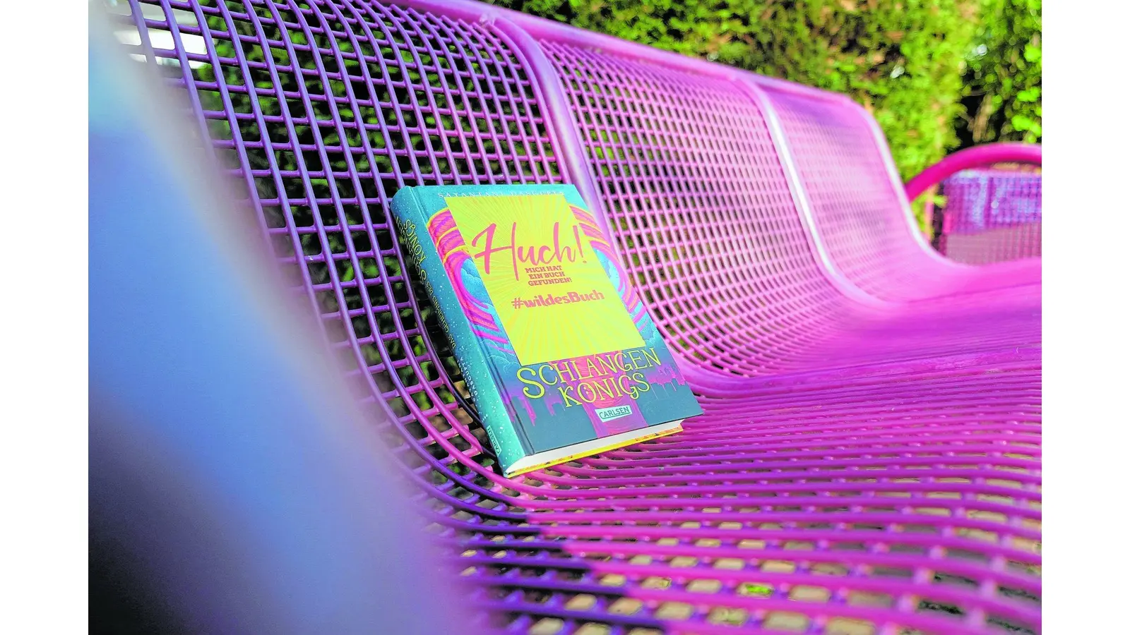 Bücher liegen an ungewöhnlichen Orten (Foto: red)