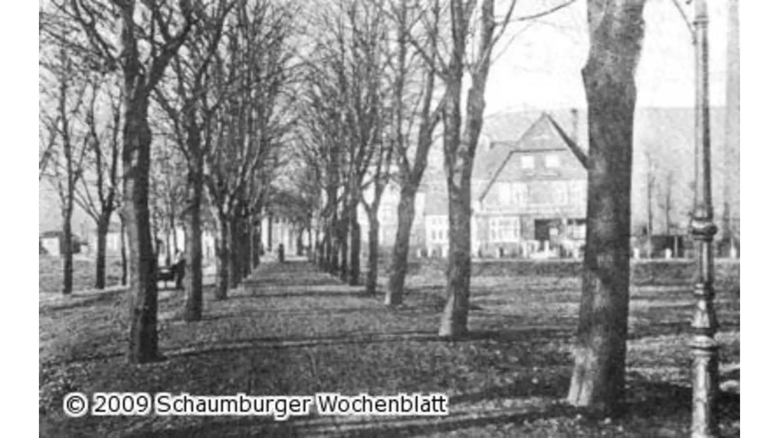 Zwischen Wald und Weser (Foto: km)