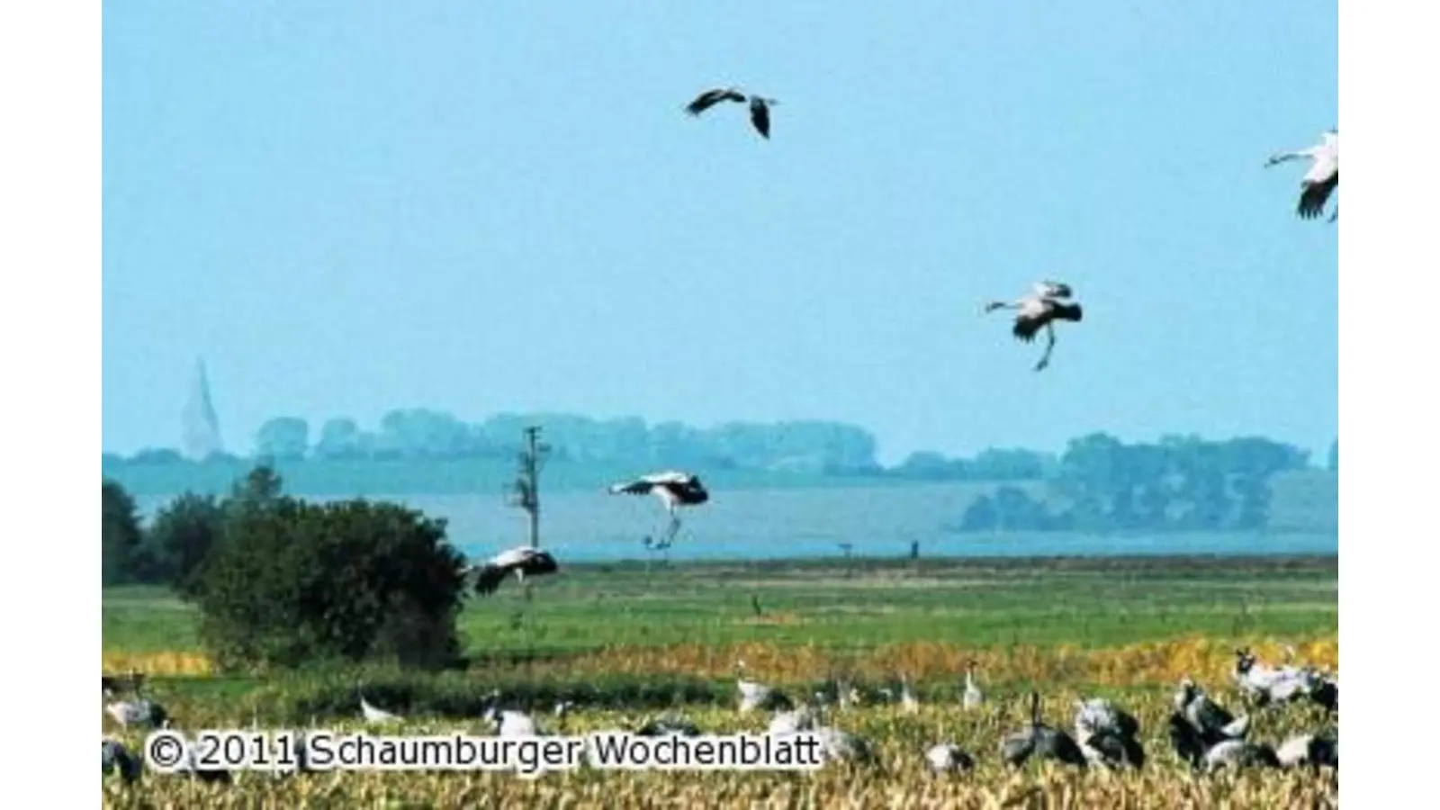 Diavortrag über Norddeutschland (Foto: red)