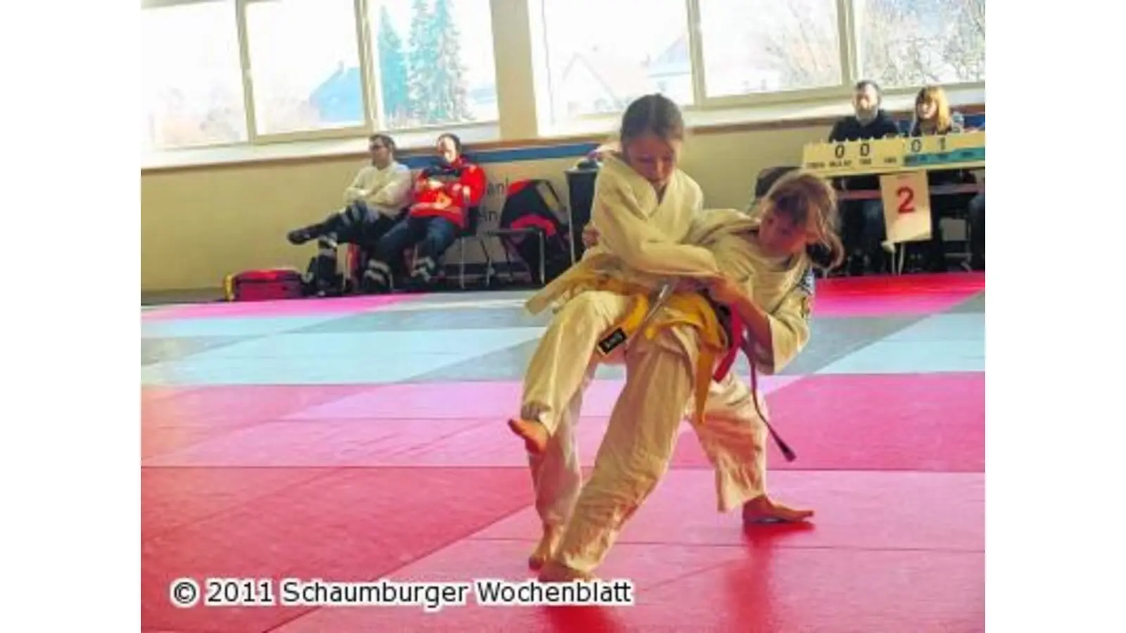 Judoka holen sieben Medaillen (Foto: mk)