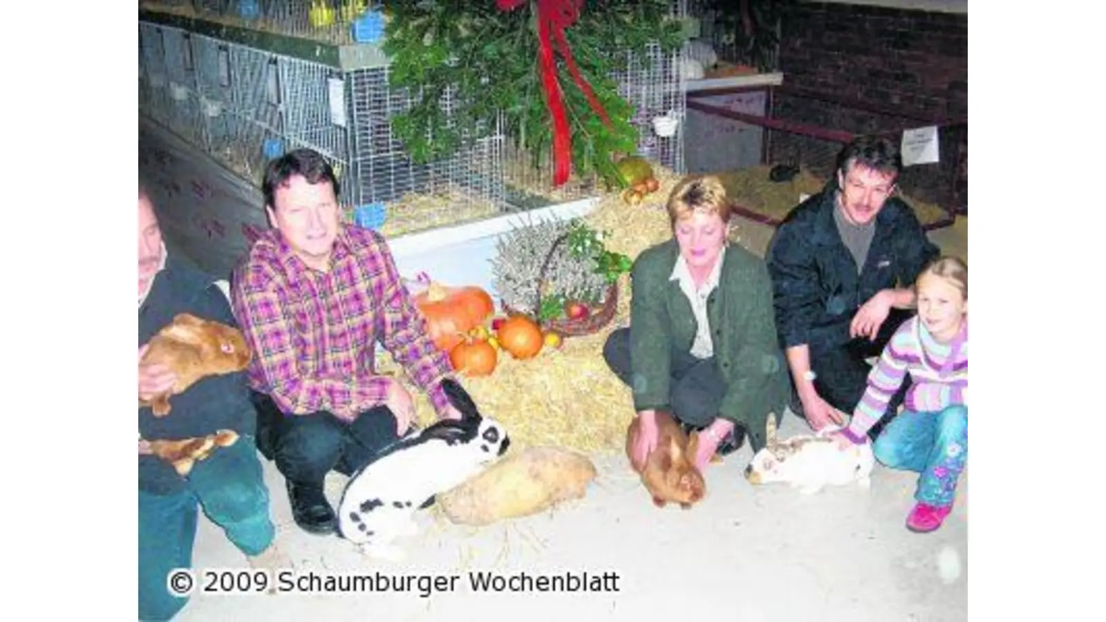 Rassekaninchen geben sich Sonnabend die Ehre (Foto: red)