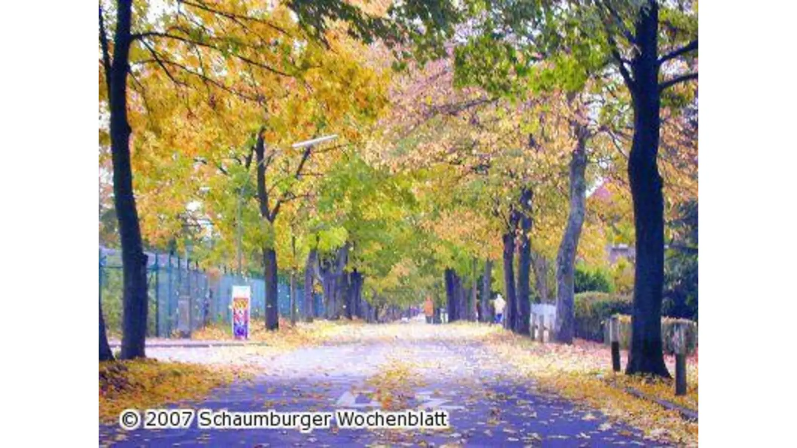 Herbst-Pracht mit Rutsch-Gefahr (Foto: km)