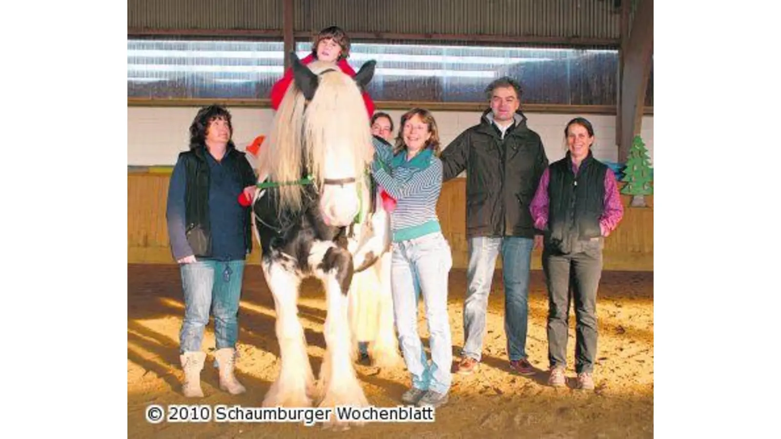 Die erste Studie zur Hippotherapie läuft an (Foto: mk)