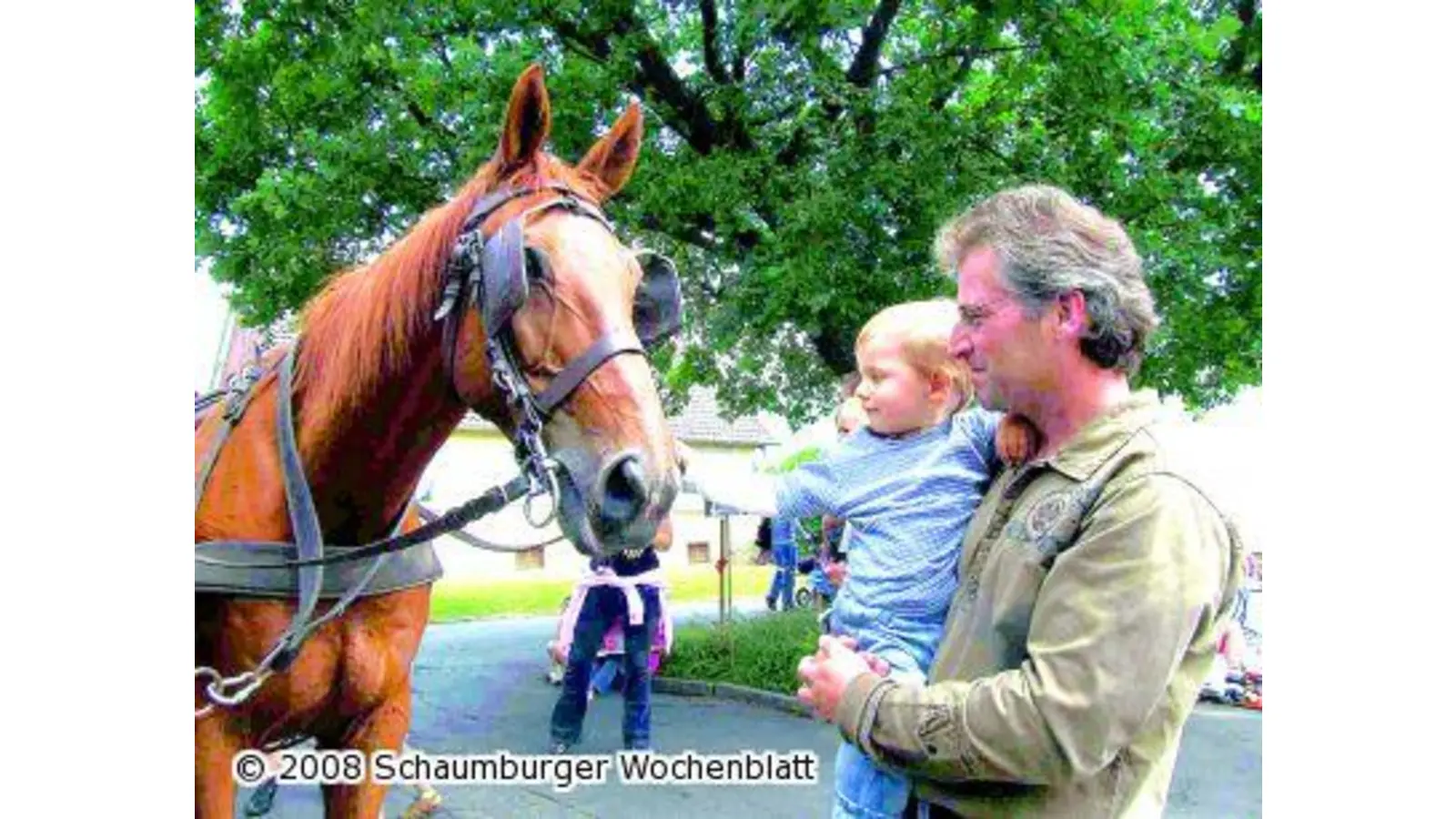 Mit der Pferdekutsche durch den Ort fahren (Foto: tt)