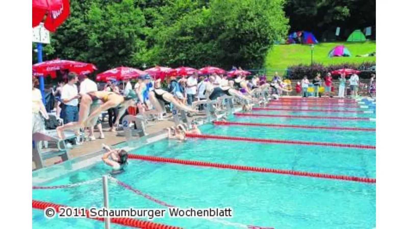 Schwimmer aus Europa und USA (Foto: red)